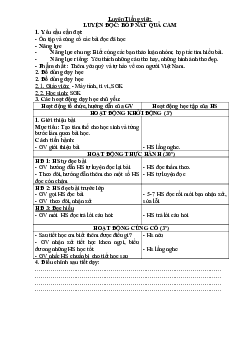 Giáo án buổi 2 Tiếng Việt 2 sách Cánh diều | Tuần 35
