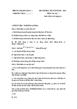 Đề thi học kì 2 môn Tin học 7 năm 2022 - 2023 sách Chân trời sáng tạo - Đề 2