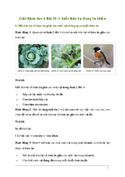 Giải Khoa học lớp 4 Bài 29: Chuỗi thức ăn trong tự nhiên | Kết nối tri thức