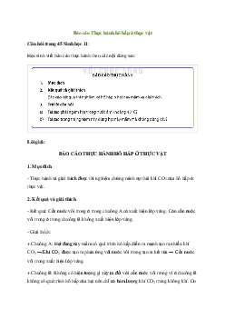 Giải Sinh học 11 Bài 7: Thực hành hô hấp ở thực vật | Kết nối tri thức