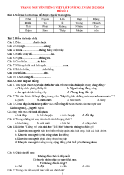 Đề thi Trạng nguyên Tiếng Việt lớp 3 năm 2023 - 2024 Vòng 3