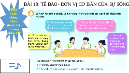 Giáo án điện tử Khoa học tự nhiên 6 bài 18 Kết nối tri thức : Tế bào - Đơn vị cơ bản của sự sống