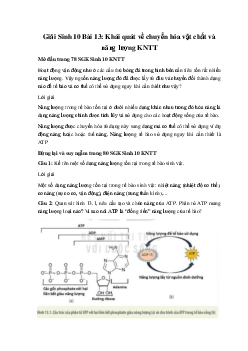 Giải Sinh 10 Bài 13: Khái quát về chuyển hóa vật chất và năng lượng | Kết nối tri thức