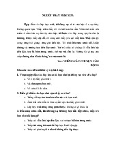 Đề thi giữa học kỳ 1 môn Tiếng Việt lớp 2 năm học 2024 - 2025 - Đề số 5 | Bộ sách Cánh diều