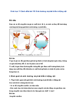 Sinh học 11 Cánh diều bài 18: Sinh trưởng và phát triển ở động vật