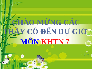 Giáo án điện tử Khoa học tự nhiên 7 bài 14 Kết nối tri thức : Phản xạ âm, chống ô nhiễm tiếng ồn