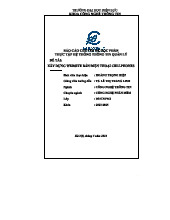 Báo cáo Thực tập: Xây dựng Website Bán Điện Thoại (CT: Hệ Thống Thông Tin Quản Lý)