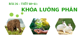 Giáo án điện tử Khoa học tự nhiên 6 bài 26 Kết nối tri thức : Khóa lưỡng phân