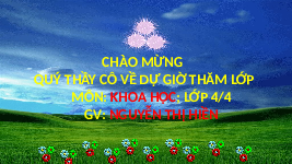 Giáo án điện tử Khoa học 4 Bài 21 Cánh diều: Phòng trách đuối nước (tiết 1)