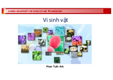 Bài giảng Chương 1 môn Vi sinh vật thực phẩm | Trường Đại học Bách Khoa Hà Nội