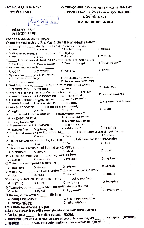 Đề thi chọn học sinh giỏi Tiếng Anh lớp 12 TP HCM năm học 2019-2020