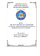 Thực Trạng Trốn Thuế Doanh Nghiệp Tại VN | Bài thảo luận tài chính tiền tệ