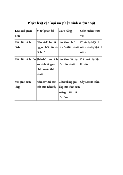 Phân biệt các loại mô phân sinh ở thực vật| Kết nối tri thức