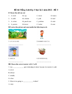Đề thi Tiếng Anh lớp 5 học kì 2 năm 2023 Đề 5