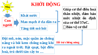 Giáo án điện tử Khoa học tự nhiên 8 Bài 46 Kết nối tri thức: Cân bằng tự nhiên