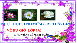 Giáo án điện tử Hoạt động trải nghiệm 4 Chân trời sáng tạo: Sinh hoạt lớp