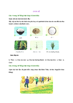 Giải SGK môn Tiếng việt 2 - Bài 22: Mùa lúa chín(4) | Cánh Diều