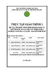 TÌM HIỂU TÌNH HÌNH KINH DOANH VÀ CHUYỂN ĐỔI SỐ TẠI CÔNG TY TNHH PANDA GLOBAL LOGISTICS CO.,LTD – BACNINH BRANCH