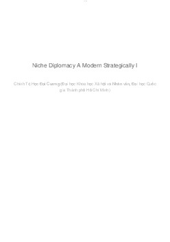 Niche Diplomacy A Modern Strategically | Chính Trị Học Đại Cương| Đại học Khoa học Xã hội và Nhân văn, Đại học Quốc gia Thành phố HCM
