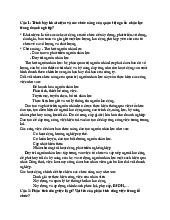 TOP 8 câu hỏi tự luận ôn tập học phần Quản trị nhân lực | Trường Đại học Phenikaa