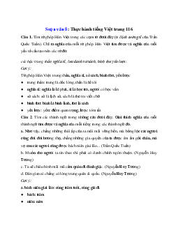 Soạn bài: Thực hành tiếng Việt trang 116 Cánh diều Ngữ Văn 8 | Cánh diều