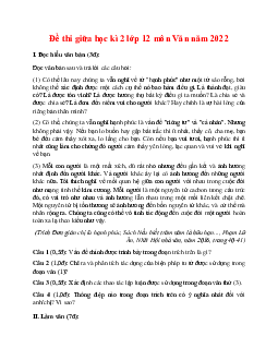 Đề thi giữa học kì 2 lớp 12 môn Văn năm 2022 Đề 6