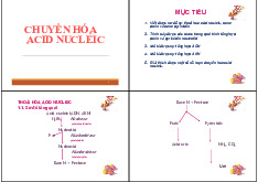 TÀI LIỆU HÓA HỌC. SLIDE BÀI GIẢNG CHƯƠNG 15 - CHUYỂN HOÁ ACID NUCLEIC