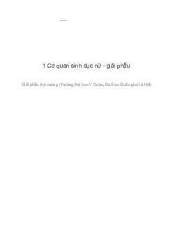 Bài giảng về Cơ quan sản nữ