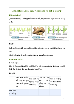 Bài 39: Sinh sản vô tính ở sinh vật | Giải sách Khoa học tự nhiên 7 Kết nối tri thức