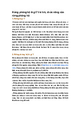 Rừng phòng hộ là gì? Vai trò, chức năng của rừng phòng hộ