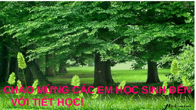 Giáo án điện tử Ngữ văn 11 Bài 1 Kết nối tri thức: Thuyết trình về nghệ thuật kể chuyện trong một tác phẩm truyện