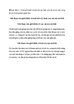 Đặt 2 - 3 câu giới thiệu về một loài cây hoặc con vật mà em biết| Tiếng việt 4 Chân trời sáng tạo