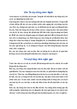 Tả cây hồng xiêm | Tập làm văn lớp 4