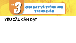 Giáo án điện tử Công nghệ 4 Bài 3 Tiết 2 Chân trời sáng tạo: Gieo hạt và trồng cây hoa trong chậu
