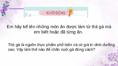 Công nghệ 7 Bài 12 Kết nối tri thức: Chăn nuôi gà thịt trong nông hộ