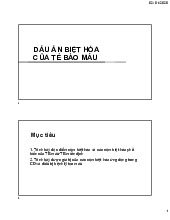 Dấu ấn biệt hóa TB máu CB