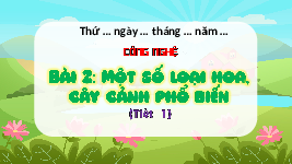 Giáo án điện tử Công Nghệ  4 KNTT -  Kết Nối Tri Thức:  Bài 2: Một số loại hoa, cây cảnh phổ biển.
