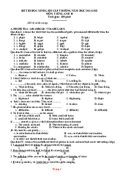Đề thi chọn HSG Tiếng Anh 10 cấp trường (có đáp án)