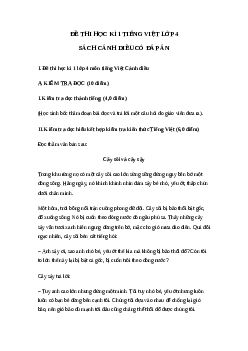 Đề ôn thi học kì 1 môn Tiếng Việt 4 Cánh diều - Đề số 1