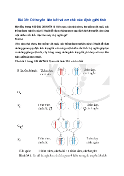 Giải Khoa học tự nhiên 9 Cánh diều Bài 39: Di truyền liên kết và cơ chế xác định giới tính