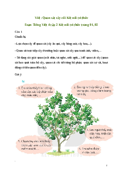 Soạn Viết: Quan sát cây cối | Kết nối tri thức