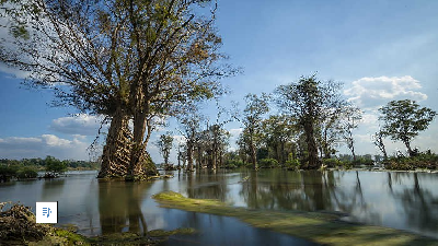 Bài 5:  CỬU LONG GIANG TA ƠI | Bài giảng PowerPoint Ngữ văn 6 | Kết nối tri thức