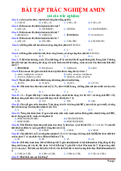 Bài tập trắc nghiệm Amin hóa học 12 (có đáp án)