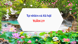 Giáo án điện tử Tự nhiên và Xã hội 2 Bài 26 Kết nối tri thức: Chăm sóc, bảo vệ cơ quan bài tiết nước tiểu