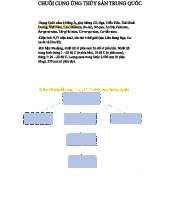 Ccutstq - Nghiên cứu Chuỗi Cung Ứng Thủy Sản Trung Quốc