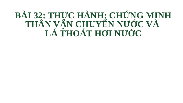 Giáo án điện tử Khoa học tự nhiên 7 bài 32 Kết nối tri thức : Thực hành Chứng minh thân vận chuyển nước và lá thoát hơi nước