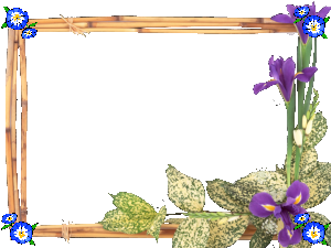 CHỦ ĐỀ E_BÀI 3_THỰC HÀNH TÌM KIẾM THAY THẾ VÀ ĐỊNH DẠNG VĂN BẢN | Bài giảng PowerPoint Tin 6 | Cánh diều