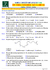 Đề ôn thi cuối học kỳ I - Đề 08 môn Hoá