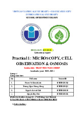 Microscopy, cell observation & osmosis | Bài báo cáo học phần Biology  | Trường Đại học Quốc tế, Đại học Quốc gia Thành phố Hồ Chí Minh