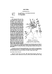 Diễn trứng - thực vật  học | Đại học Lâm Nghiệp